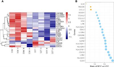 Differential Expression and Prognostic Correlation of Immune Related Factors Between Right and Left Side Colorectal Cancer